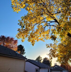 Colorado house during fall home maintenance season
